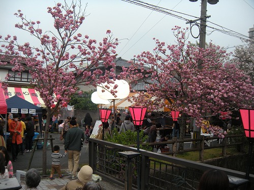 桜まつり2014.4.12
