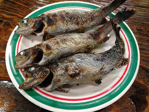 釣れた魚を塩焼きに、、、。