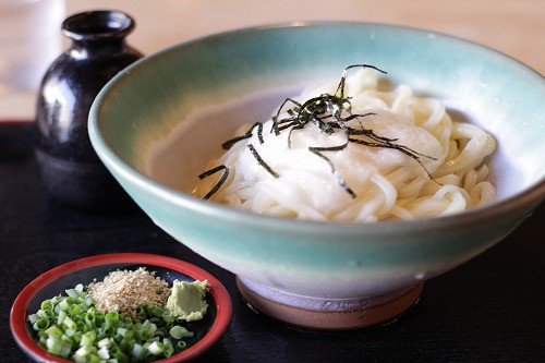 山かけうどん(冷) / 600円