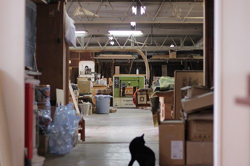 黒猫が住んでいます。