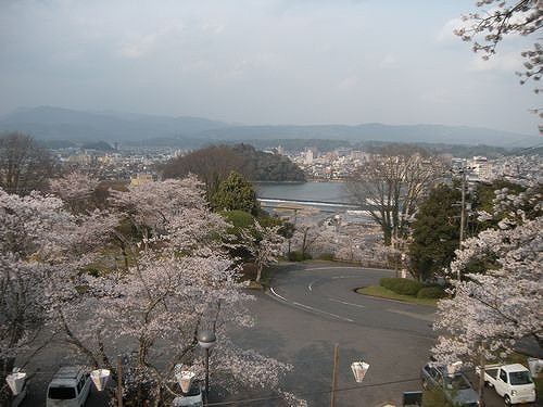 桜の時期にはこんな一面も。