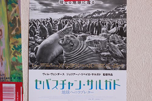 ある有名写真家を追ったドキュメンタリー映画です。