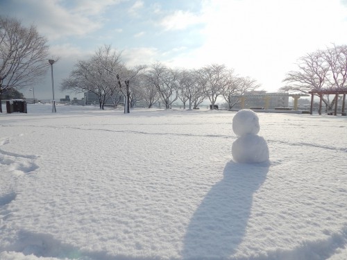 公園の中に雪だるまが作られていました