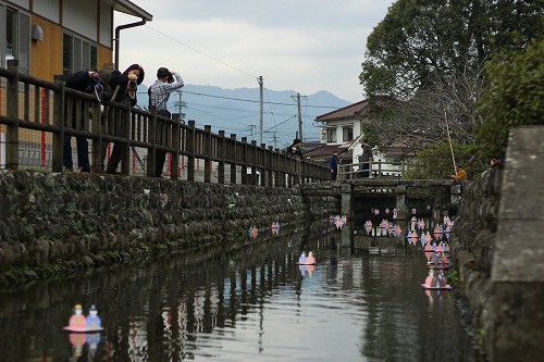 川を下る沢山のひなたち