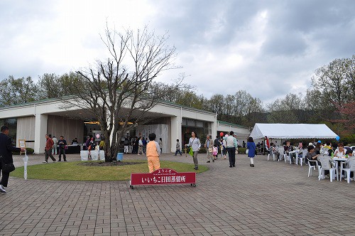 去年の様子