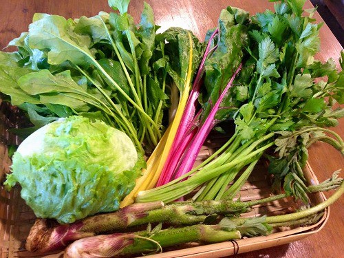 レストラン松原のおすそわけ野菜!