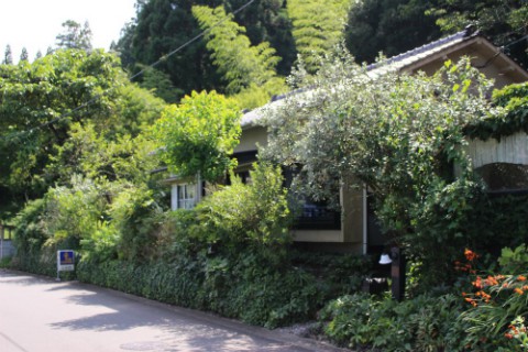 森の中の喫茶店
