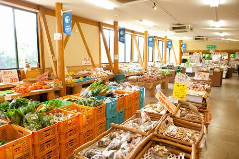 農産物販売も豊富です♪