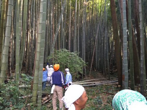 竹切り真っ最中!!