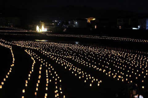 花月川沿い。これだけではありません