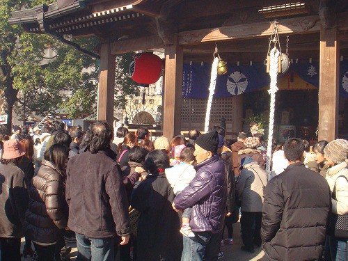 初詣のご予定はいかがですか?