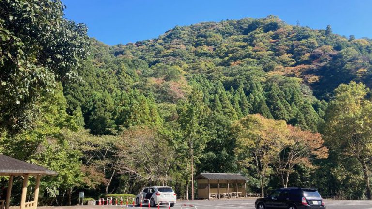 ルテホの庭 ヴェイパーグレーからの呟き